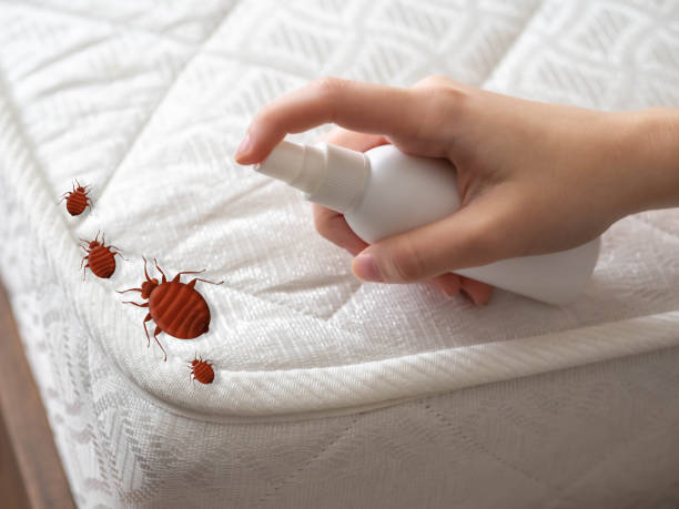 Real Estate Pest Inspections in Williamsville, NY